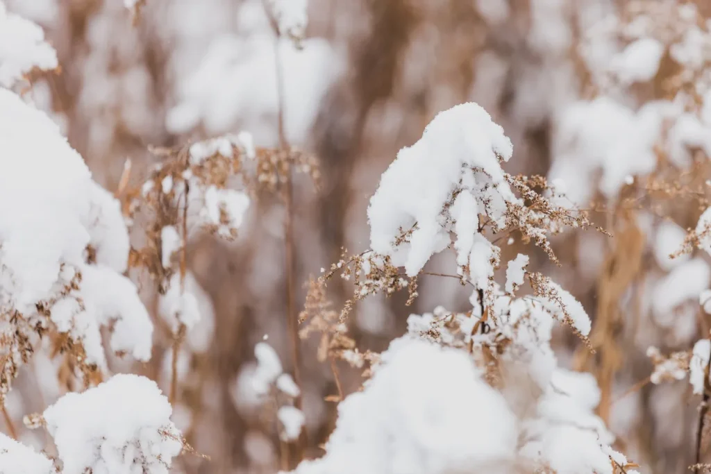 Five Common Winter Problems for Your Car